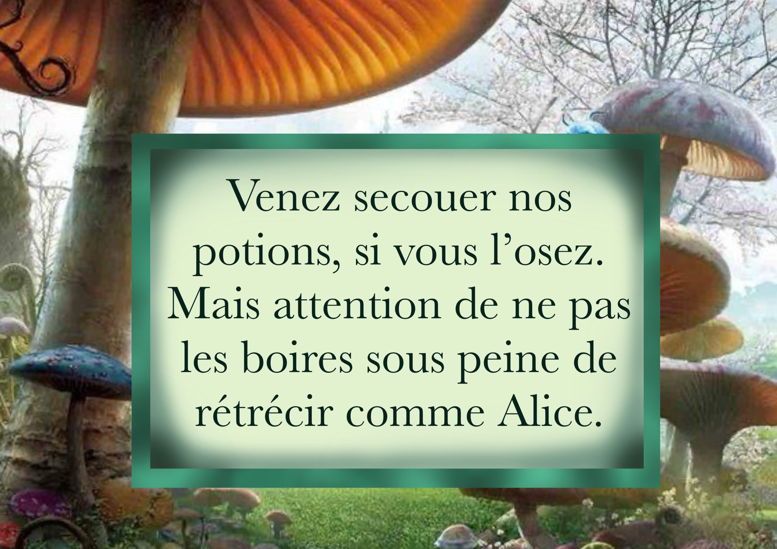 Illustration_sans_titre 16